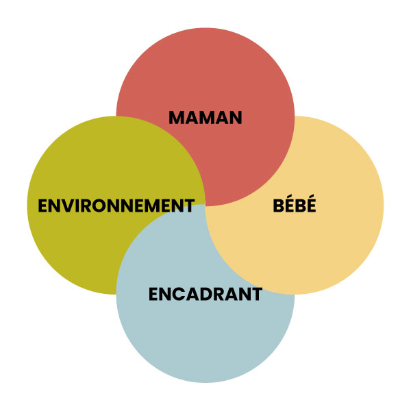 raisonnement écosystémique